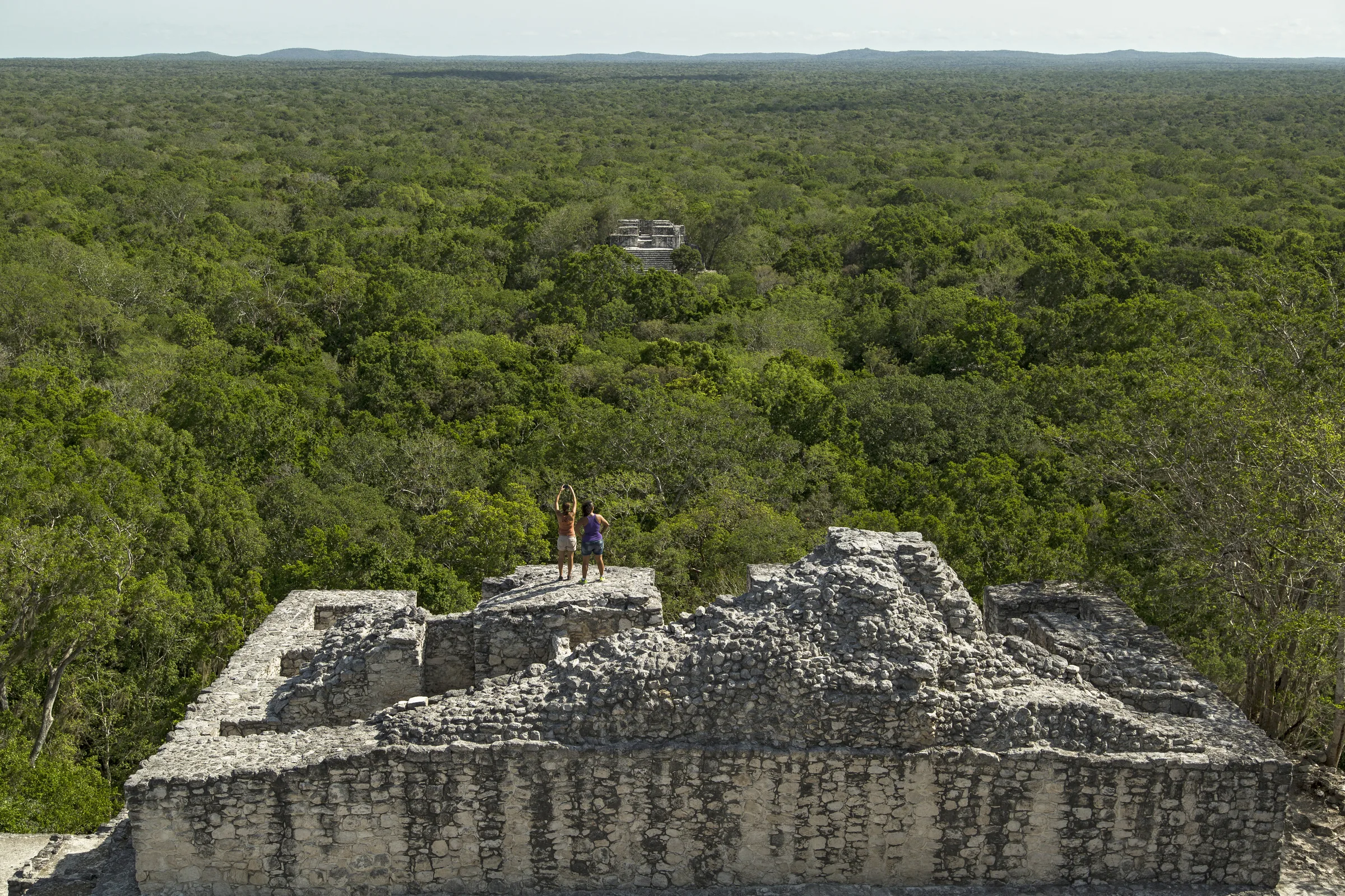 Structure II at Calakmul rising above the forest