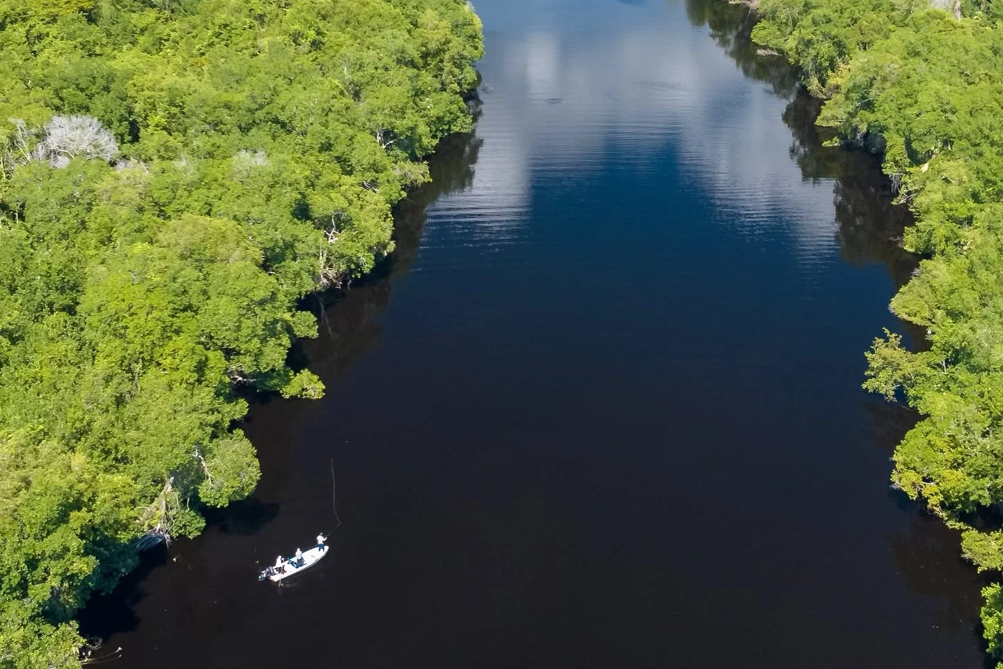 Lancha en un canal entre manglares de Los Petenes, Campeche, vista desde el aire