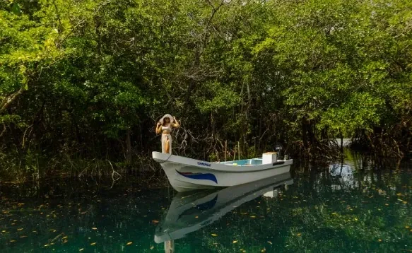 Lancha entre los manglares de la reserva de Los Petenes, cerca de Campeche